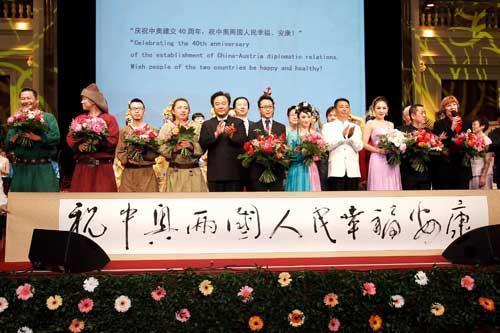 Chinese Calligraphy Concert held in Austria
