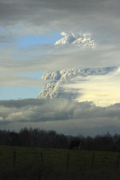 Smoke and ash billowing from Puyehue volcano is seen near Osorno city in southern Chile June 4, 2011. [Xinhua/Reuters]