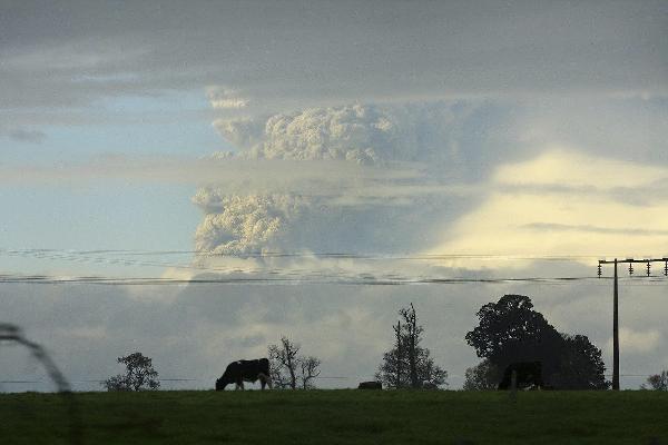 Smoke and ash billowing from Puyehue volcano is seen near Osorno city in southern Chile June 4, 2011.[Xinhua/Reuters]