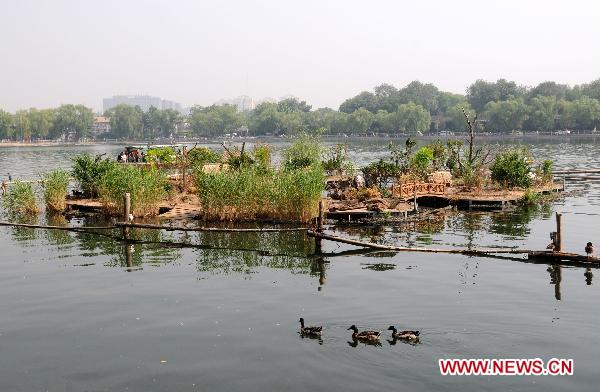 Picture taken on June 6, 2011, shows the duck-shelter in Shichahai, a lake in the Chinese capital's downtown, in Beijing. Some 10 years ago, citizen Qu Xisheng built a duckhouse for a brood of wild ducks here over the lake. With his 10-year-effort and the help of local government, the duckhouse had developed into a 158 square meters large island, providing a shelter for over 100 birds including wild ducks, mandarin ducks, and night herons. [Xinhua/Wang Zhen]