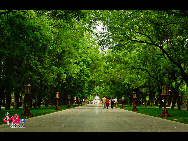 The Temple of Heaven, literally the Altar of Heaven, is a complex of Taoist buildings situated in southeastern Beijing. The Emperors of the Ming and Qing dynasties visited the complex annually when they prayed to Heaven for good harvests. It is regarded as a Taoist temple, although Chinese Heaven worship, especially by the reigning monarch of the day, actually pre-dates Taoism. [China.org.cn]