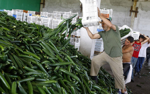 Workers throw away cucumbers to be destroyed at an agriculture facility near Bucharest June 6, 2011 as sales collapsed in Romania&apos;s markets due to the fear of E.coli contamination. European Union agriculture ministers are assessing whether farmers will be able to recoup from EU coffers up to 30 percent of the cost of vegetables that cannot be sold because of the German E.coli contamination crisis. [China Daily/Agencies]