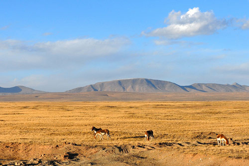 Hoh Xil, one of the 'Top 10 filming sites of Chinese movies' by China.org.cn.