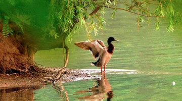 Daoxianghu Natural Wetland Park