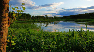 Hanshiqiao Wetland Park - Hide and Seek in the Reed