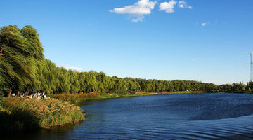 Cuihu Wetland Park in Beijing 