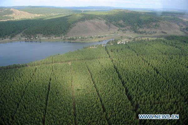 Photo taken on June 9, 2011 shows a bird's-eye view of the forests in Hulun Buir, north China's Inner Mongolia Autonomous Region. [Xinhua/Zhang Ling]