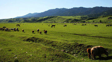 Amazing Nalati grassland in Xinjiang