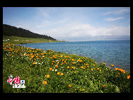 Sayram in Kazak means 'blessing'. Sayram Lake, also called 'Santai Haizi', with its crystal clear water reflecting the snow-capped mountains, is a gem studded among the unfolding Tianshan Mountains. The largest and highest alpine lake in Xinjiang, Sayram Lake nurtures various species of fish, livestock and birds, amongst other wild animals. It is said to be a once in a lifetime experience to take a stroll along the lakeside by foot or on horseback.