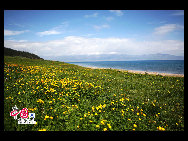 Sayram in Kazak means 'blessing'. Sayram Lake, also called 'Santai Haizi', with its crystal clear water reflecting the snow-capped mountains, is a gem studded among the unfolding Tianshan Mountains. The largest and highest alpine lake in Xinjiang, Sayram Lake nurtures various species of fish, livestock and birds, amongst other wild animals. It is said to be a once in a lifetime experience to take a stroll along the lakeside by foot or on horseback.