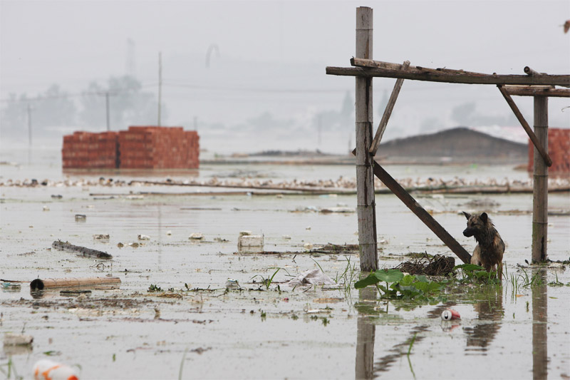 Consecutive heavy rains have wreaked havoc in east China's Zhejiang Province, where serious geological disasters have destroyed infrastructure, forcing at least 19,000 residents in 37 counties to evacuate and toppling 1,600 rural houses.