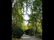 Photo shows the beautiful scenery of Nanjing University in Nanjing, capital of south China's Jiangsu Province.[牛顿的苹果/forums.nphoto]