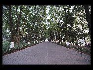 Photo shows the beautiful scenery of Huazhong University of Science and Technology in in Wuhan, Central China's Hubei Province.[PKU2010/bbs.fengniao]