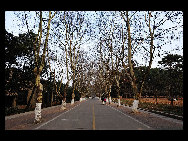 Photo shows the beautiful scenery of Huazhong University of Science and Technology in in Wuhan, Central China's Hubei Province.[PKU2010/bbs.fengniao]