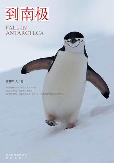 Book cover of 'Fall in Antarctica' by Cai Jinghui.
