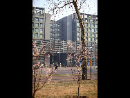 Photo shows the beautiful scenery of Nankai University in Tianjin, north China.[飞人gao/bbs.fengniao]