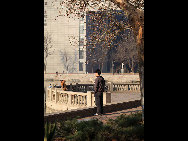 Photo shows the beautiful scenery of Nankai University in Tianjin, north China.[飞人gao/bbs.fengniao]