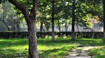 A snapshot of Shandong University 