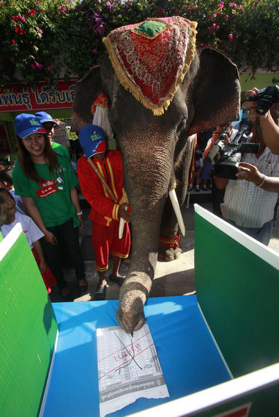 Elephant casts vote for election in Thailand