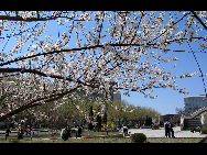Harbin Institute of Technology (HIT) was founded in 1920. From its beginning, HIT has received preferential support from the central government.After 87 years, HIT has developed into a large nationally renowned multi-disciplinary university with science, engineering and research as its core.[hit.edu.cn]