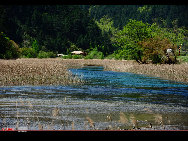 The northwestern Sichuan Plateau is noted for its picturesque natural beauty. One of its best scenic areas is Jiuzhaigou, or Jiuzhai Valley, located in the Aba Tibetan and Qiang Autonomous Prefecture. Eulogized as a world of magical fairytales, Jiuzhai Valley has for years enchanted tourists with its mountains and luxuriant forests, colorful lakes, gushing waterfalls and abundant wildlife.  [光阴dfn/bbs.fengniao]