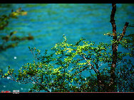 The northwestern Sichuan Plateau is noted for its picturesque natural beauty. One of its best scenic areas is Jiuzhaigou, or Jiuzhai Valley, located in the Aba Tibetan and Qiang Autonomous Prefecture. Eulogized as a world of magical fairytales, Jiuzhai Valley has for years enchanted tourists with its mountains and luxuriant forests, colorful lakes, gushing waterfalls and abundant wildlife.  [光阴dfn/bbs.fengniao]