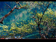 The northwestern Sichuan Plateau is noted for its picturesque natural beauty. One of its best scenic areas is Jiuzhaigou, or Jiuzhai Valley, located in the Aba Tibetan and Qiang Autonomous Prefecture. Eulogized as a world of magical fairytales, Jiuzhai Valley has for years enchanted tourists with its mountains and luxuriant forests, colorful lakes, gushing waterfalls and abundant wildlife.  [光阴dfn/bbs.fengniao]