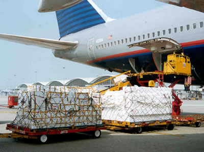 In May, domestic carriers transported 24 million passengers, rising 11.8 percent year-on-year.