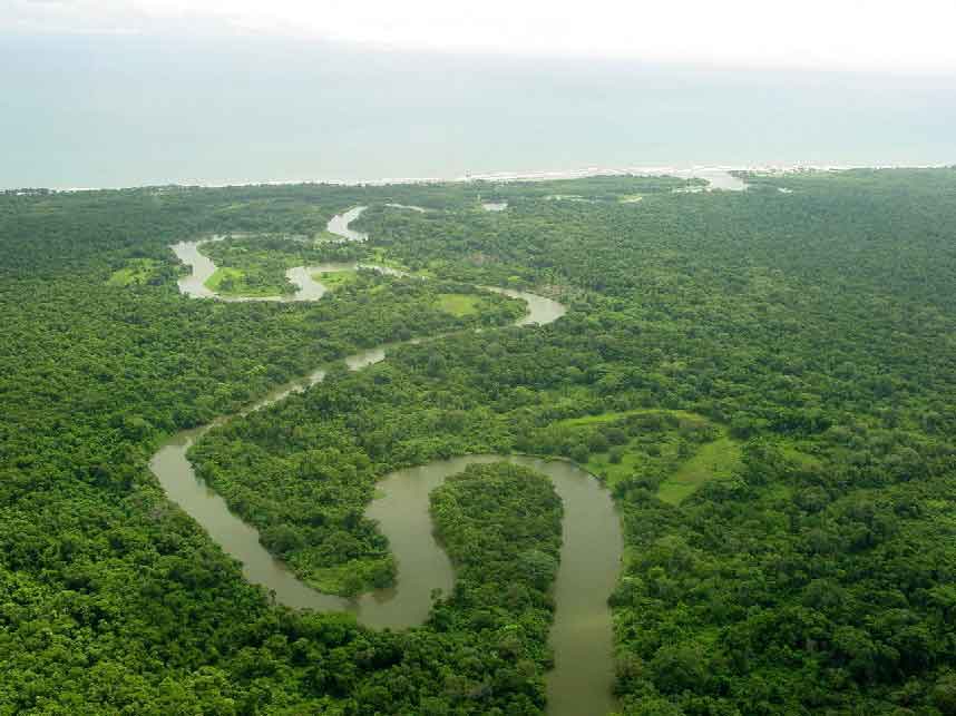 Rainforests in Honduras