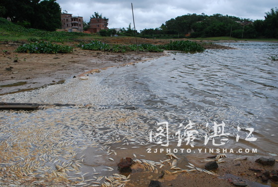Kaoline plant to blame for S China river pollution