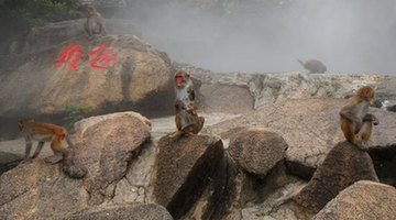 Trip to Monkey Island in Hainan