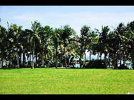 Located to the southeast of Sanya, Yalong Bay is a 7.5-km crescent-shaped bay. Also known as the Yalong Bay National Resort, it is one of the most famous scenic spots in Hainan Province.Visitors are attracted by its crystal blue sea, warm sand beaches and endless rolling hills. Its clean sea waters make it a nice place for diving. There are various kinds of tropical fishes. It is an ideal place for relaxation, water sports and scuba-diving. [ericyangbj/bbs.fengniao] 
