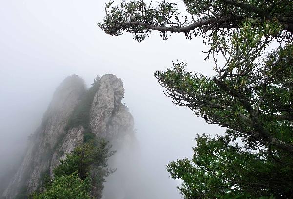 A peak is shrouded by the fog after a rainfall in the scenery spot of Laojunshan Mountain in Luanchuan County, central China's Henan Province, June 25, 2011. [Xinhua/Wang Song]