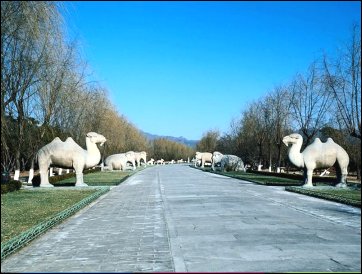 The Ming Dynasty Tombs 