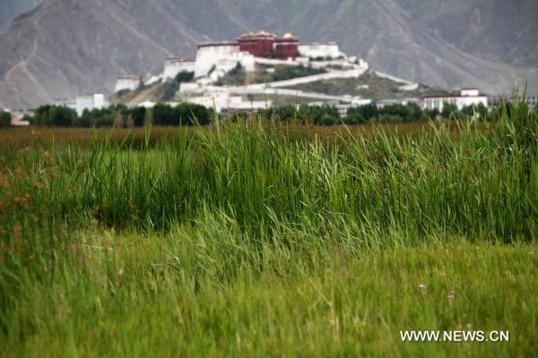 Photo taken on June 28, 2011 shows the Potala Palace near the Lhalu wetland in Lhasa, capital of southwest China&apos;s Tibet Autonomous Region. The Lhalu wetland locates in the north of the city of Lhasa and it covers an area of 12.2 square kilometers. More than 95 percent of the wetland is covered by trees and plants. [Xinhua]