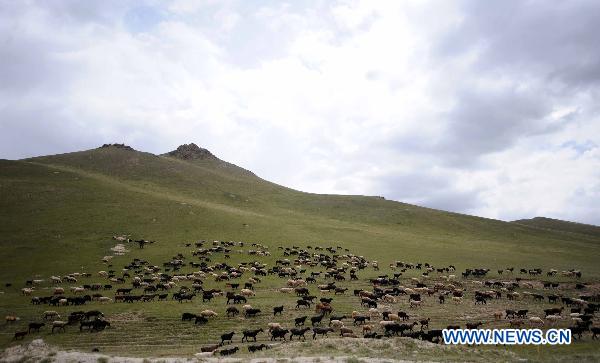 Photo taken on June 30, 2011 shows the scenery of Naryn State, Kyrgyzstan. [Xinhua/Sadat] 