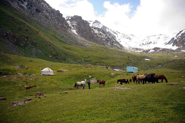 Photo taken on July 1, 2011 shows the beautiful scenery of the high altitude summer pasture called Suusamyr, some 170 km south of Bishkek, capital of Kyrgyzstan. [Xinhua/Sadat]