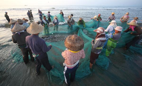 Fishermen draw a net to harvest fish in Dacheng Town of Raoping County, south China&apos;s Guangdong Province, July 2, 2011. (Xinhua/Ma Ka)