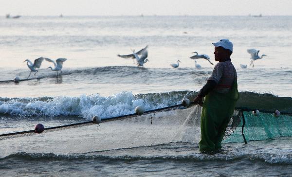 Fishermen draw a net to harvest fish in Dacheng Town of Raoping County, south China&apos;s Guangdong Province, July 2, 2011.