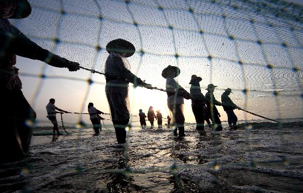 Fishermen cast a net to harvest fish in Dacheng Town of Raoping County, south China&apos;s Guangdong Province, July 2, 2011. 