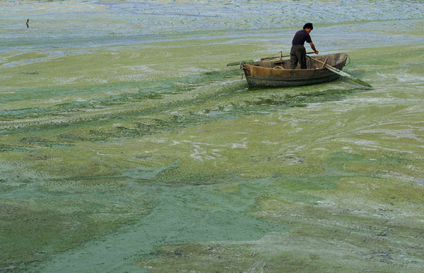 A fisherman rows a boat in the algae-filled Chaohu Lake in Hefei, Anhui province July 3, 2011. Algae outbreaks have repeatedly hit the lake in recent years. [China Daily] 
