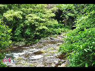 Spring water flows in the Cheonjeyeon Valley (meaning the Pond of the Emperor of Heaven in Korean), in Jeju Island, South Korea's top tourism and honeymoon destination. [François Chen / China.org.cn]