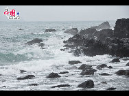 The sea on the southern coastline of Jeju Island remains turbulent though Typhoon Meari has already moved up north to the Korean Peninsula. [François Chen / China.org.cn]