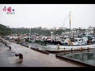 The fishing boats stationed in the harbour to avoid the Typhoon Meari which hit the island on June 25 this year. [François Chen / China.org.cn]