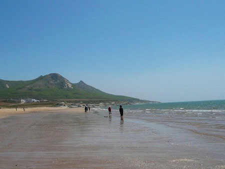 Chrysanthemum Island