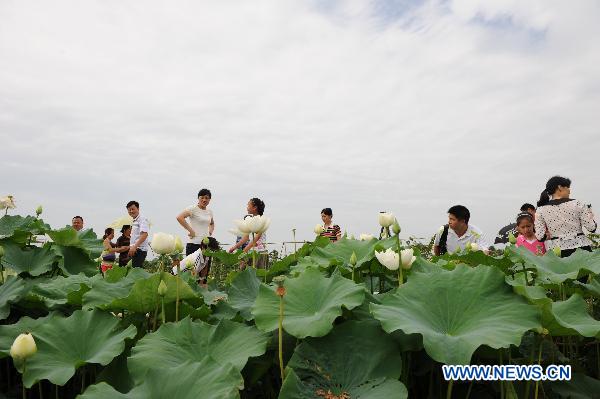 Visitors view lotus flowers during the 25th National Lotus Flowers Exhibition at Dazu County, southeast China's Chongqing Municipality, July 8, 2011. More than 500 different strains of lotus are put on display during the lotus exhibition which is held here from July 8 to September 8. [Xinhua/Chen Cheng] 