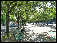 Unter den Linden (under the linden trees). This prestigious wide boulevard connects Berlin's Palace Bridge at the Museum Island with the Brandenburger Gate. The street is lined with impressive historical buildings. [Zhang Fang/China.org.cn]