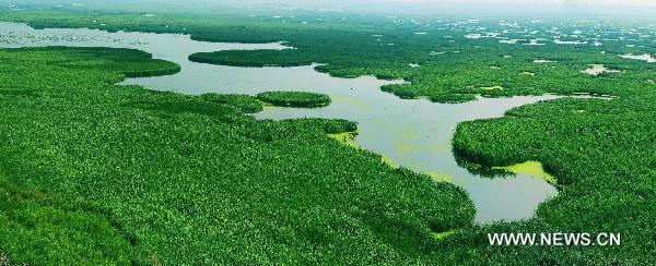 Photo taken on July 10, 2011 shows an aerial view of the Long Feng Wetland, or the Wetland of Dragon and Phoenix in Daqing City, northeast China&apos;s Heilongjiang Province. 