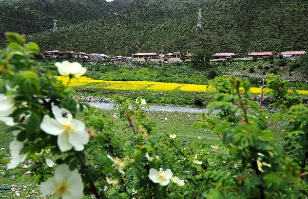 Photo taken on July 4, 2011 shows a village surrounded by green plants in Gongbo'Gyamda County in southwest China's Tibet Autonomous Region.