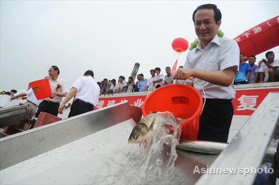 Fish are released into Chaohu Lake in Anhui province on July 12, 2011. [Asianewsphoto] 